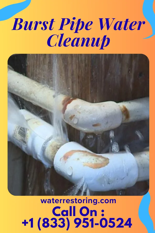 Burst Pipe Water Cleanup in Bradford, TN