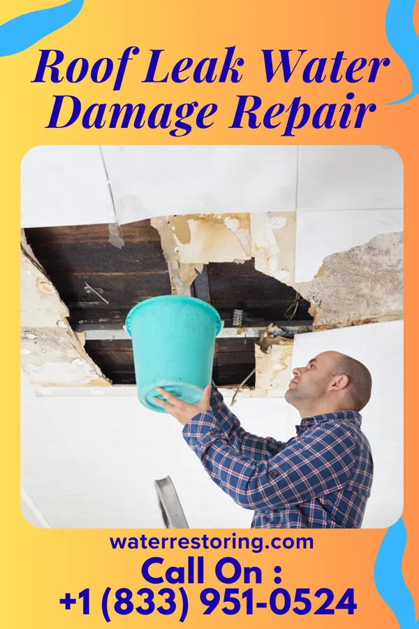 Roof Leak Water Damage Repair in Bradford, TN